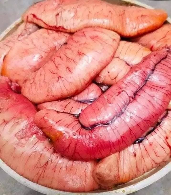 ডিম ৩ কেজি ১৮০০ টাকা